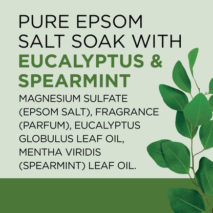 Epsom Salt Magnesium Soak, Relax & Relief with Eucalyptus & Spearmint, 3 Lbs - TechNova