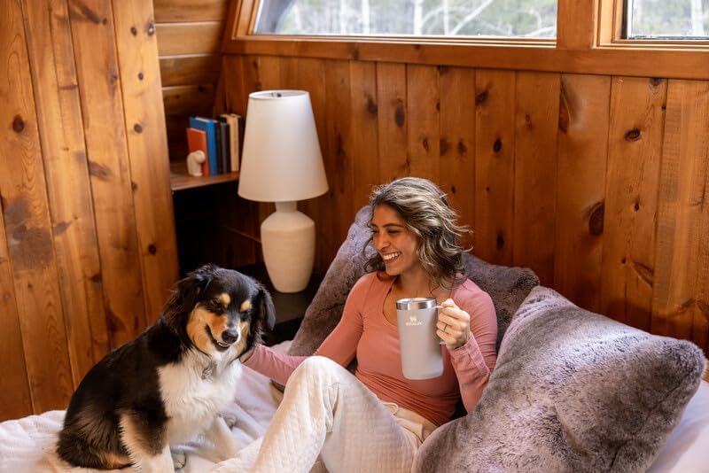 STANLEY Everyday Camp Mug | Drink Through Lid | Cup for Coffee, Tea and Drinks | Insulated Stainless Steel Coffee Mug | BPA - Free - TechNova